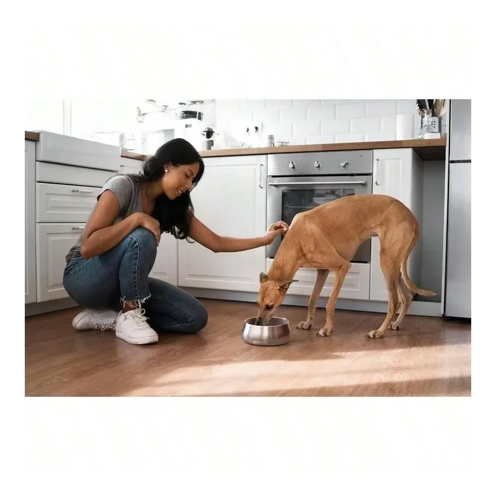 Dog Supplies Dogs Accessories Steel Dog Bowl U2013 32oz Weighted Metal Food And Bowls Dogs And Cats With Non Slip Base Pet Bowls