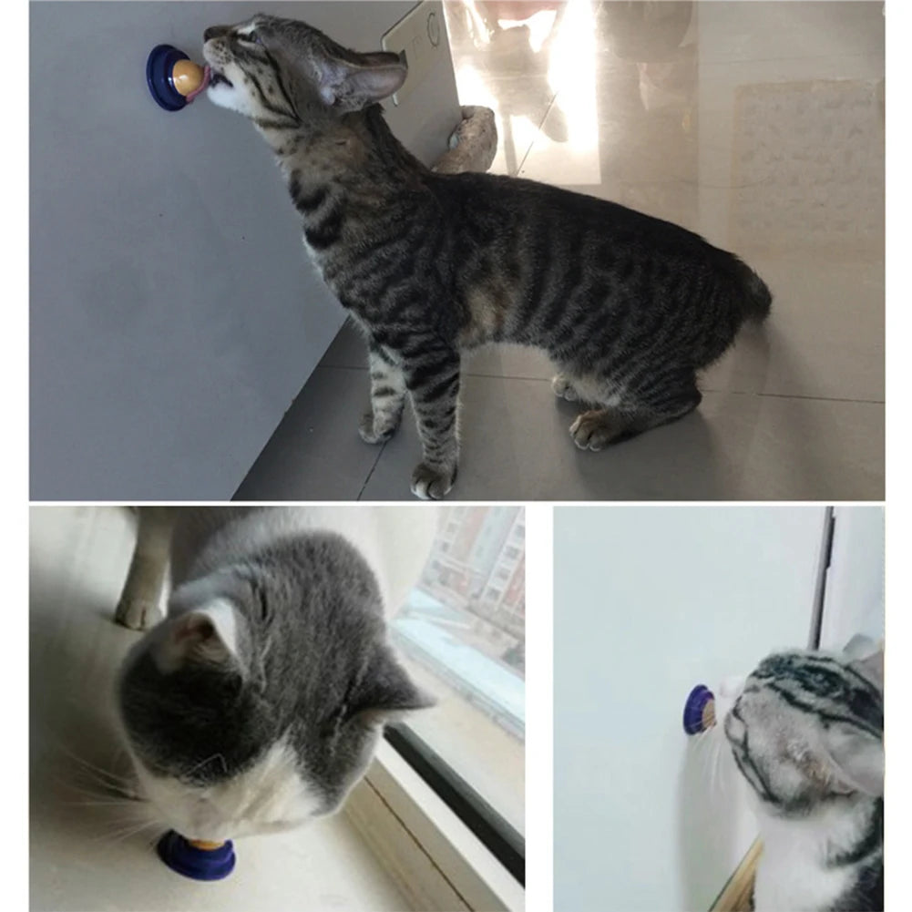 Nutrition Energy Ball Licking Solid Nutrition Cat Treats Long Strong Transparent Cover Convenient Portable Pet Cat Products
