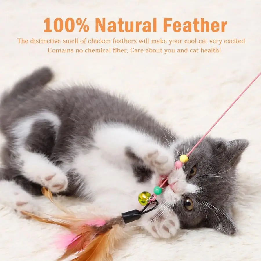 Pack Cat Feather Toy Wand, Interactive Pet Kitten Chaser Teaser Wire Wand with Bell Beads for Cat Exercise Play Fun Gifts Whole