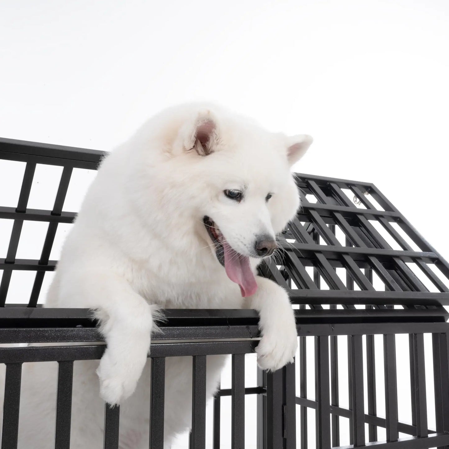 Heavy Duty Dog Crate for Large, Medium & Small Dogs, Indestructible Escape-Proof Dog Cage & Slide-Out Tray, Sturdy Metal Dog Ken