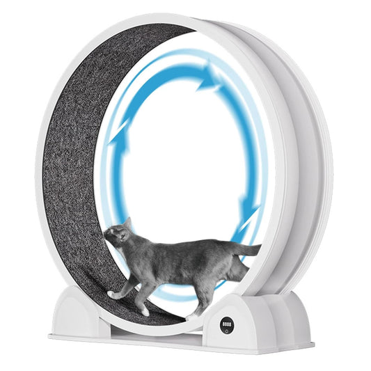 Cat Exercise Wheel for Indoor Cats, ABS Cat Wheel Exerciser Quiet Cats Treadmill with Pedometer, Small Animal Running Wheels
