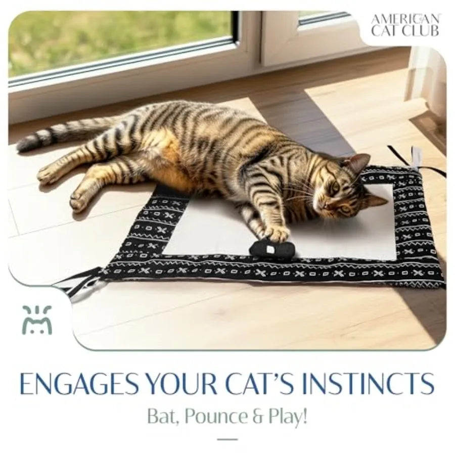 Reversible Crinkle Cat Mat with Mouse Toy Black Mudcloth Pattern Interactive Crinkle Play Mat for Cats 18 x 13 Ideal for Indoor