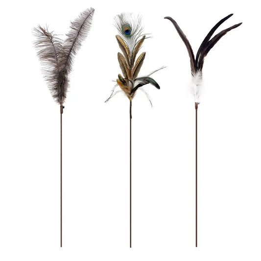 Cat Wand Toys Natural Huge Feather Stick Toys,3 Pcs Extra Long Teaser Sticks with Different Feathers Ostrich, Peacock, Chicken,