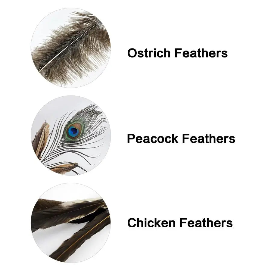 Cat Wand Toys Natural Huge Feather Stick Toys,3 Pcs Extra Long Teaser Sticks with Different Feathers Ostrich, Peacock, Chicken,