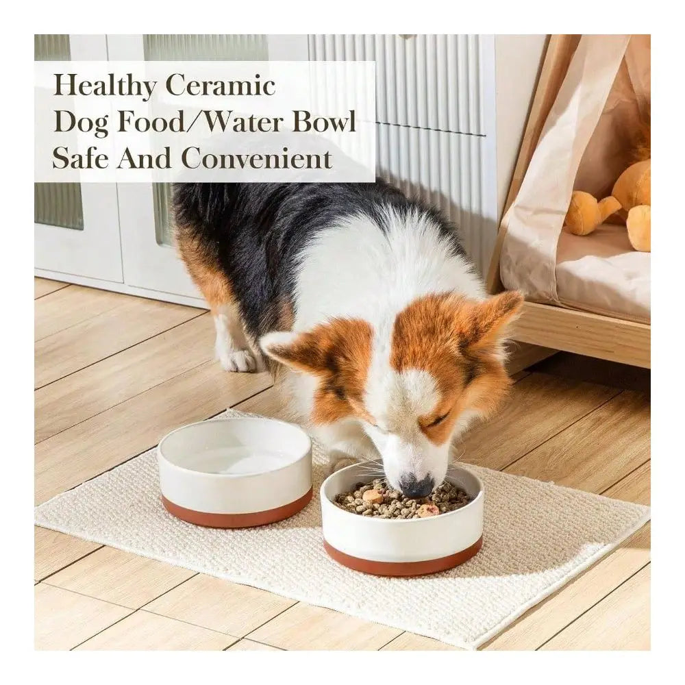 Dog Supplies Dogs Accessories Dog Bowls, Dog Food Dish With Wood Stand Non Slip, 14oz, Pet Basic Bowls Your Puppy, Small Dogs Or