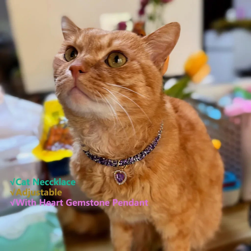 Luxury Reflective Cat Collar | Heart Crystal Rhinestone Pendant Necklace for Cats & Small Dogs (Chihuahua) - Pet Accessories