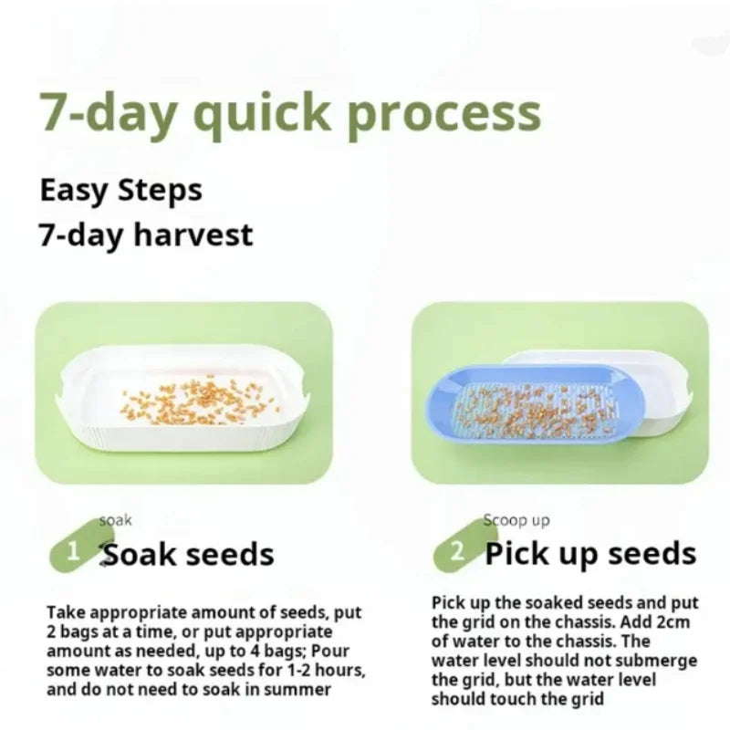 Hydroponic Cat Grass Box Cat Treats Catnip Hydroponic Soilless Planting Cat Grass Pot Set for Easy Growth