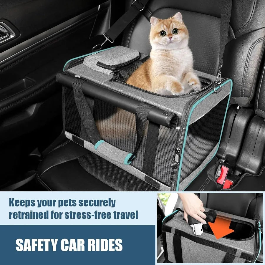 SoftSided Small Pet Air Travel Carry Bag for Cats and Tiny Dogs Up to 12lbs TSA Approved Cat Carrier for Alaska Airlines and So