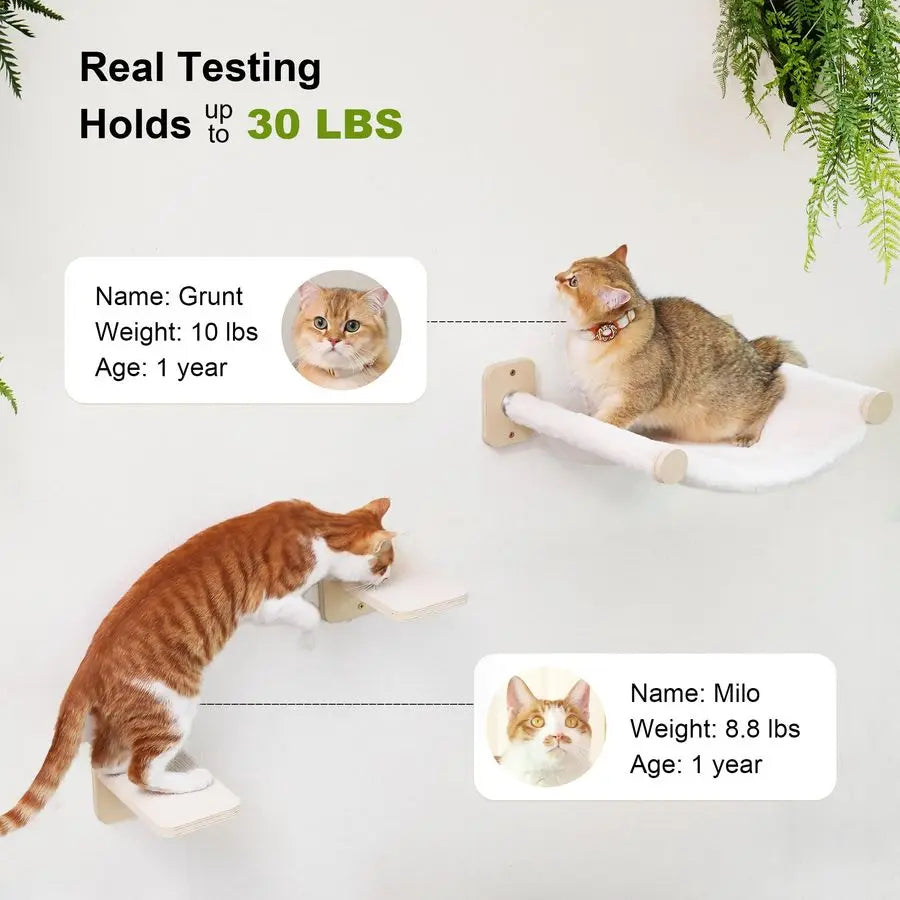 Cat Wall Hammock with Two Steps Set, Modern Cat Climbing Shelves Furniture, Kitty Bed with Thickened Fabric for Sleep, Climb and