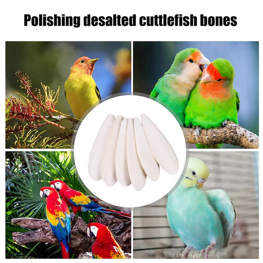 10pcs Pet Bird Food Demineralized Chewing Cuttlefish Bone Edible Crawling Pet Molar Toy Nutritional Supplements Sports Equipment
