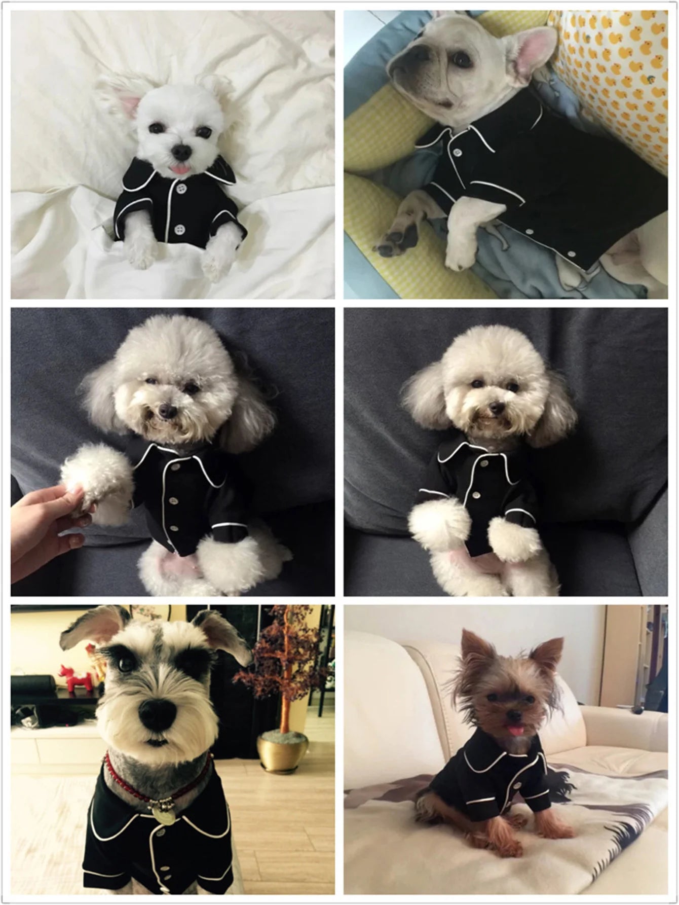 One luxurious and Comfortable Pajama for Pet Dogs Summer Dog Clothes for Small Dogs Suitable for Teddy, Bichon Frise,Yorkshire
