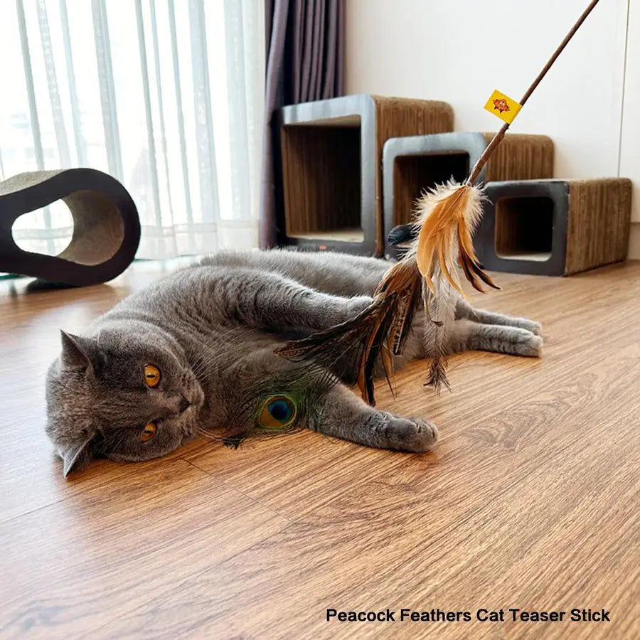 Cat Wand Toys Natural Huge Feather Stick Toys,3 Pcs Extra Long Teaser Sticks with Different Feathers Ostrich, Peacock, Chicken,