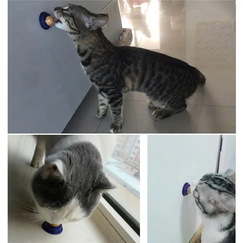 Nutrition Energy Ball Licking Solid Nutrition Cat Treats Long Strong Transparent Cover Convenient Portable Pet Cat Products