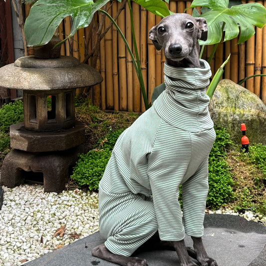 Italian Greyhound warm Clothes Fashion Striped Velvet Soft and Comfortable Dog Green stripe Hoodie Home Clothes