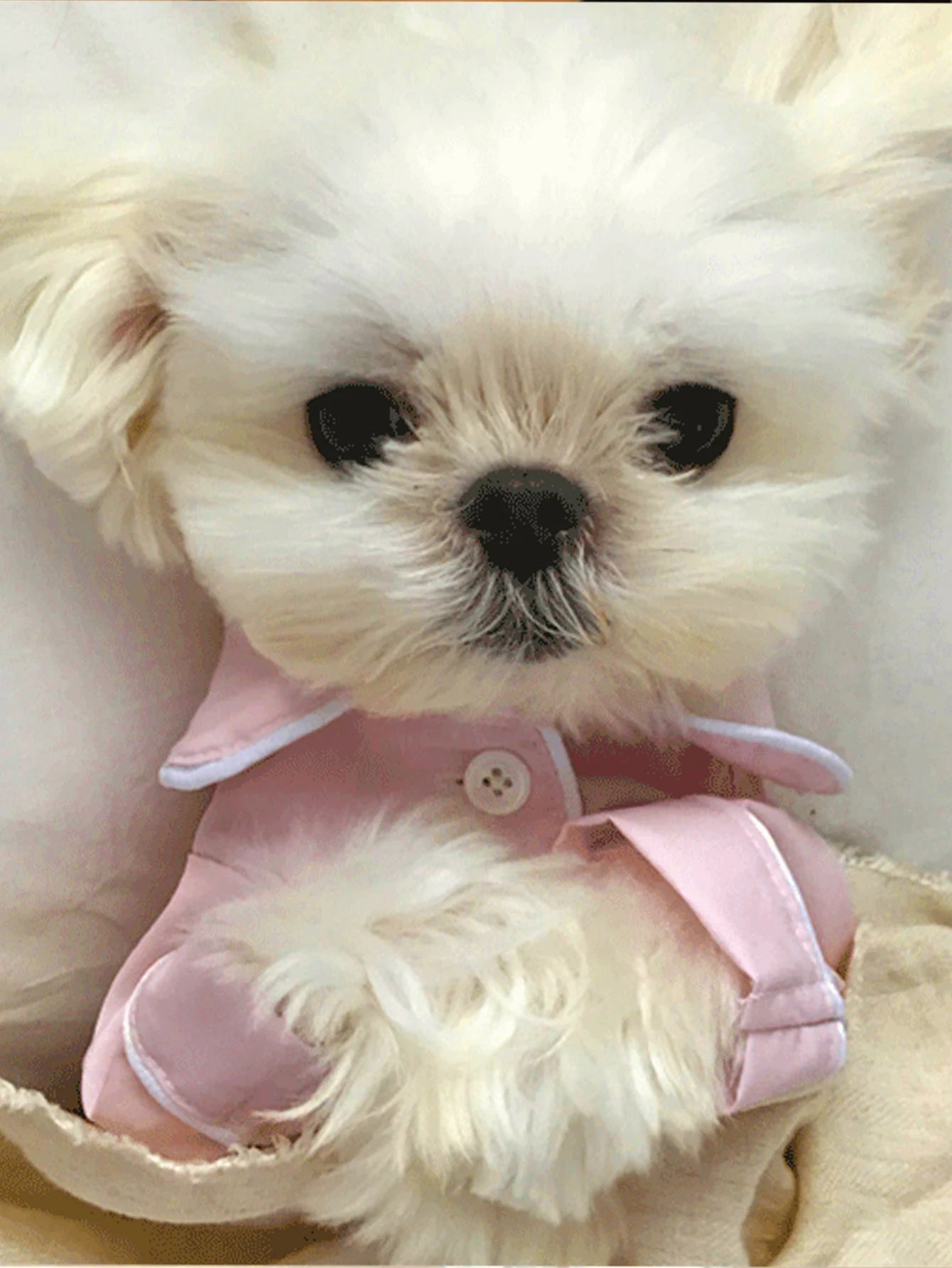 One luxurious and Comfortable Pajama for Pet Dogs Summer Dog Clothes for Small Dogs Suitable for Teddy, Bichon Frise,Yorkshire